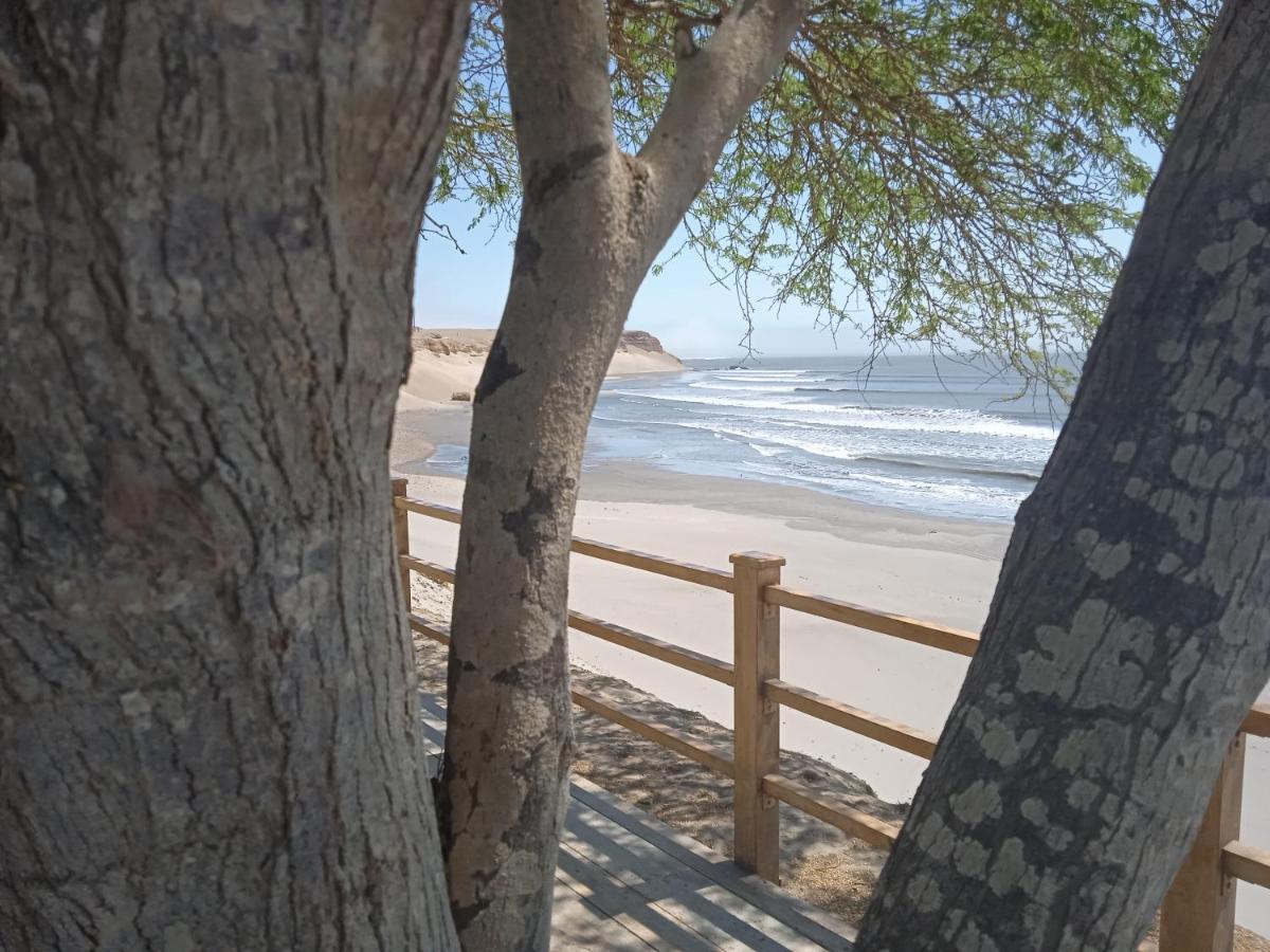 Hotel Chicama Surf Camp Puerto Chicama Zewnętrze zdjęcie